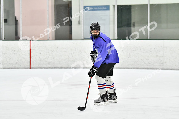 240226_FCHL_C2_PoleDancers_PollockTax74