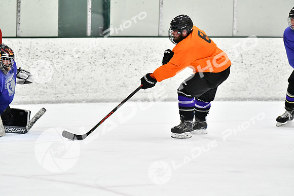 240226_FCHL_C2_PoleDancers_PollockTax75