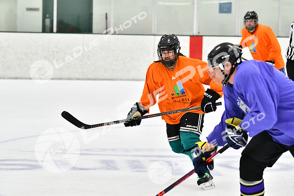 240226_FCHL_C2_PoleDancers_PollockTax76