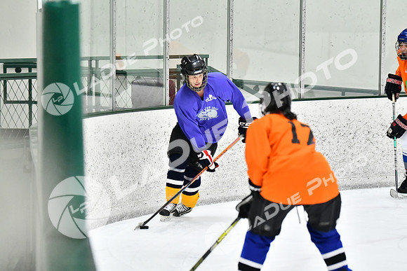 240226_FCHL_C2_PoleDancers_PollockTax78