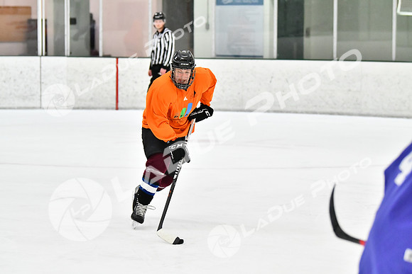 240226_FCHL_C2_PoleDancers_PollockTax80