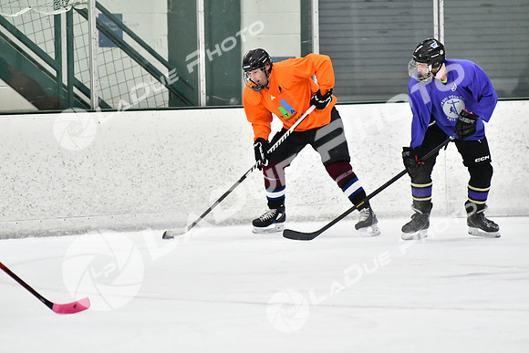 240226_FCHL_C2_PoleDancers_PollockTax81