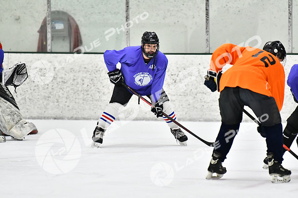 240226_FCHL_C2_PoleDancers_PollockTax82
