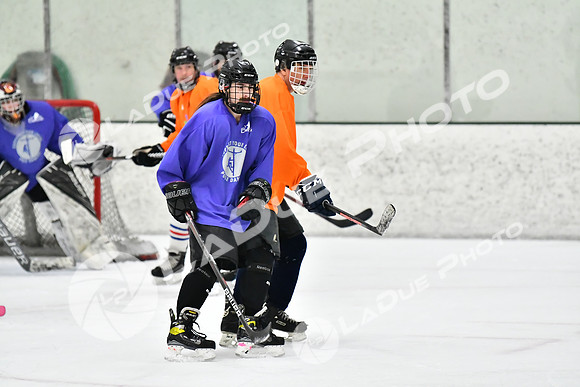 240226_FCHL_C2_PoleDancers_PollockTax83