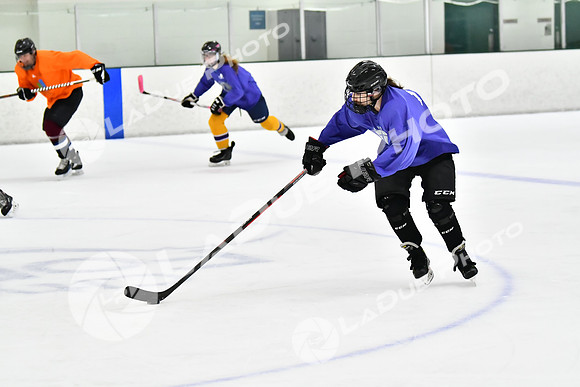 240226_FCHL_C2_PoleDancers_PollockTax87