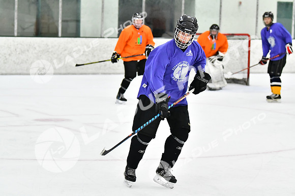 240226_FCHL_C2_PoleDancers_PollockTax92