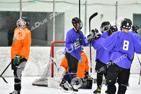 240226_FCHL_C2_PoleDancers_PollockTax93