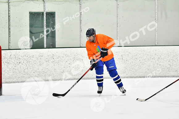 240226_FCHL_C2_PoleDancers_PollockTax101