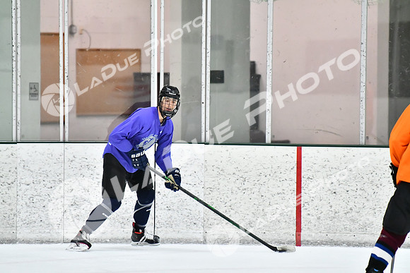 240226_FCHL_C2_PoleDancers_PollockTax109