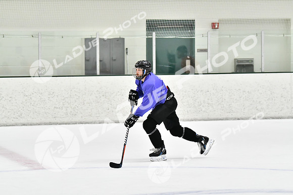 240226_FCHL_C2_PoleDancers_PollockTax115