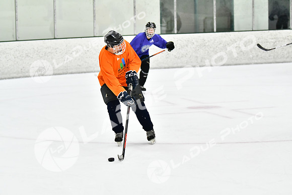 240226_FCHL_C2_PoleDancers_PollockTax117