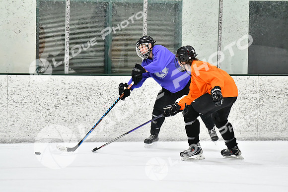 240226_FCHL_C2_PoleDancers_PollockTax118