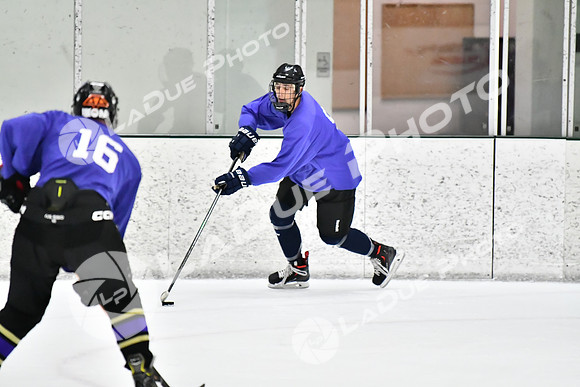 240226_FCHL_C2_PoleDancers_PollockTax120