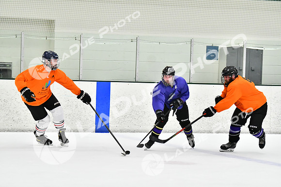 240226_FCHL_C2_PoleDancers_PollockTax129