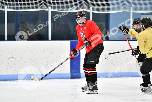 240228_FCHL_D_SticksStones_Valentes012