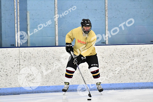 240228_FCHL_D_SticksStones_Valentes016