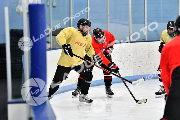 240228_FCHL_D_SticksStones_Valentes018