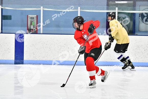 240228_FCHL_D_SticksStones_Valentes021