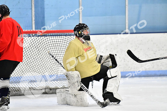 240228_FCHL_D_SticksStones_Valentes022