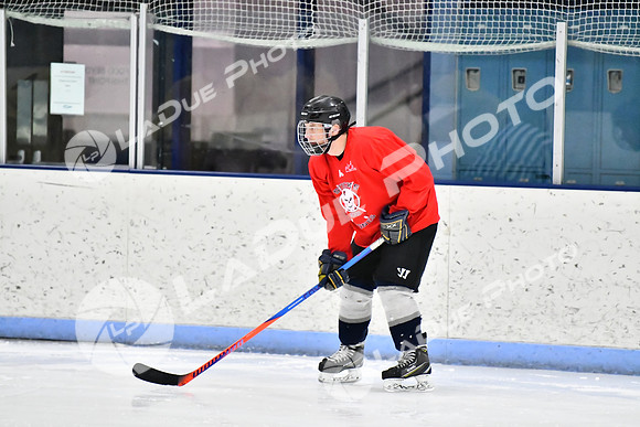 240228_FCHL_D_SticksStones_Valentes023