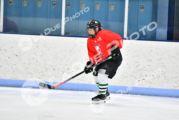 240228_FCHL_D_SticksStones_Valentes024