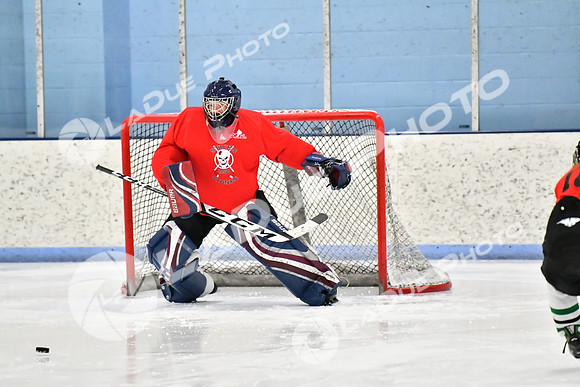 240228_FCHL_D_SticksStones_Valentes027