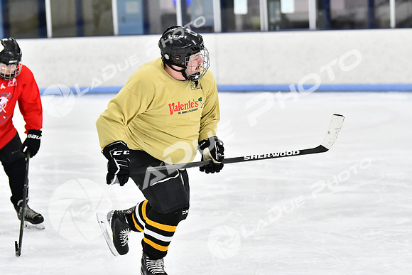 240228_FCHL_D_SticksStones_Valentes031