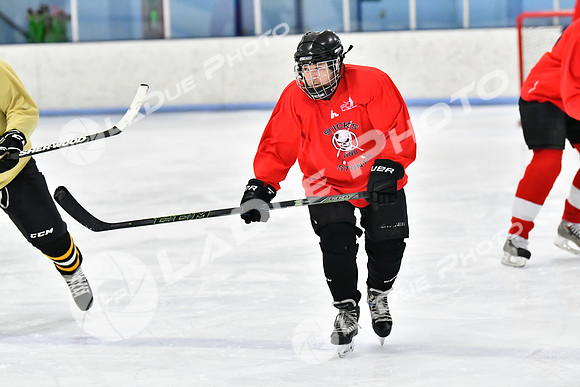 240228_FCHL_D_SticksStones_Valentes032