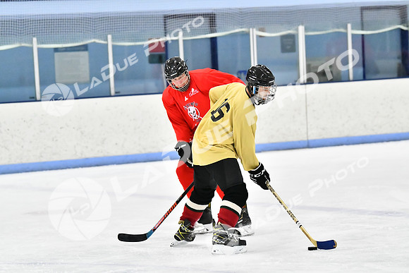 240228_FCHL_D_SticksStones_Valentes034