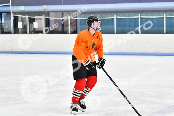 240228_FCHL_D_Antinora_FCHL015