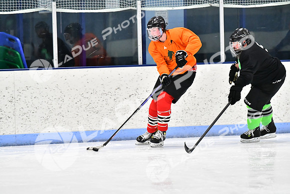 240228_FCHL_D_Antinora_FCHL018