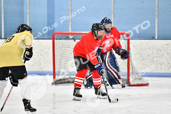 240228_FCHL_D_SticksStones_Valentes037
