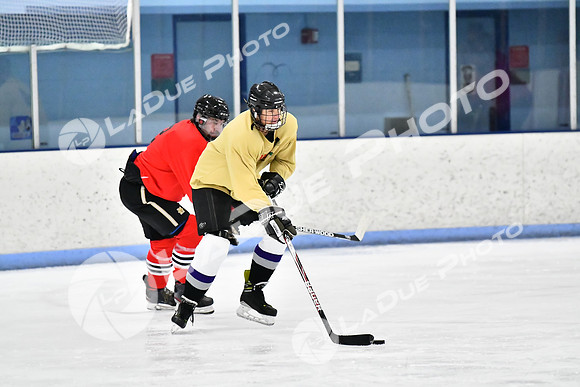 240228_FCHL_D_SticksStones_Valentes040