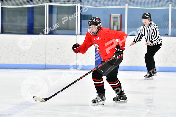 240228_FCHL_D_SticksStones_Valentes041