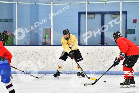 240228_FCHL_D_SticksStones_Valentes044