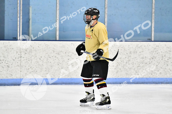 240228_FCHL_D_SticksStones_Valentes043