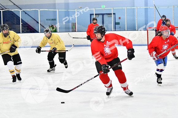 240228_FCHL_D_SticksStones_Valentes046