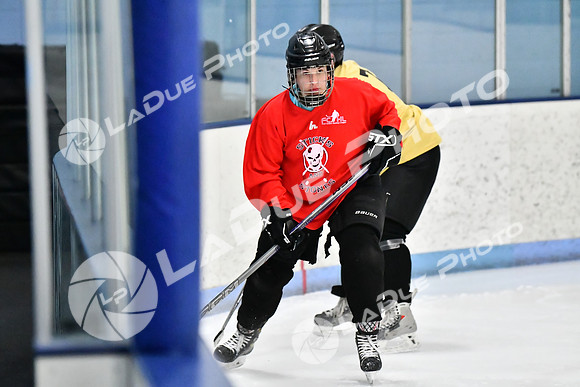 240228_FCHL_D_SticksStones_Valentes047