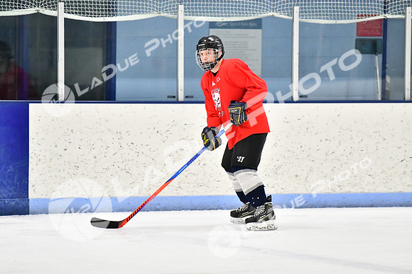 240228_FCHL_D_SticksStones_Valentes049