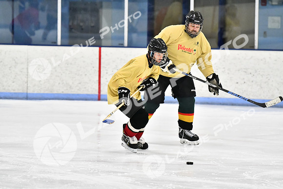 240228_FCHL_D_SticksStones_Valentes050