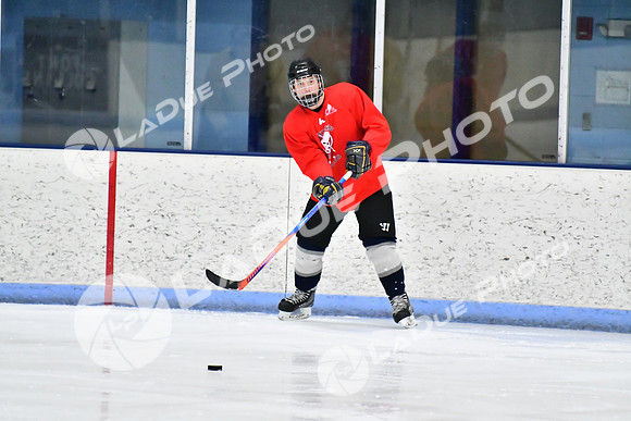 240228_FCHL_D_SticksStones_Valentes051