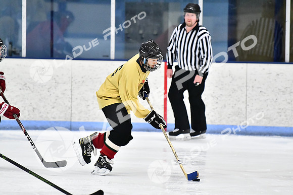 240228_FCHL_D_SticksStones_Valentes052