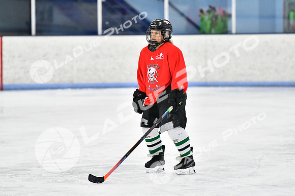 240228_FCHL_D_SticksStones_Valentes053
