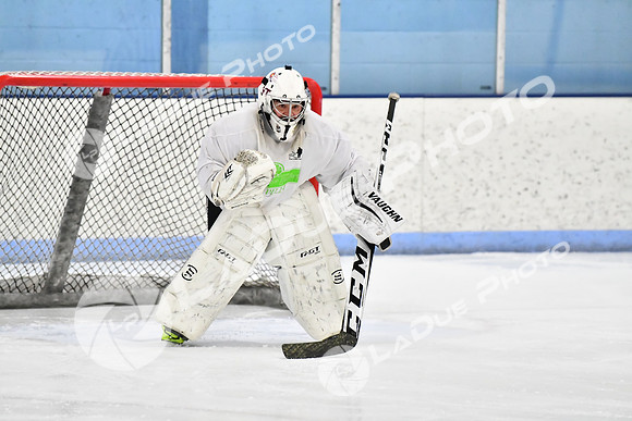 240228_FCHL_D_PondScum_Dominators021