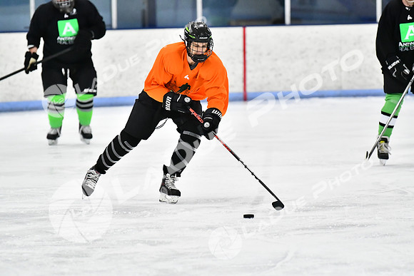 240228_FCHL_D_Antinora_FCHL036