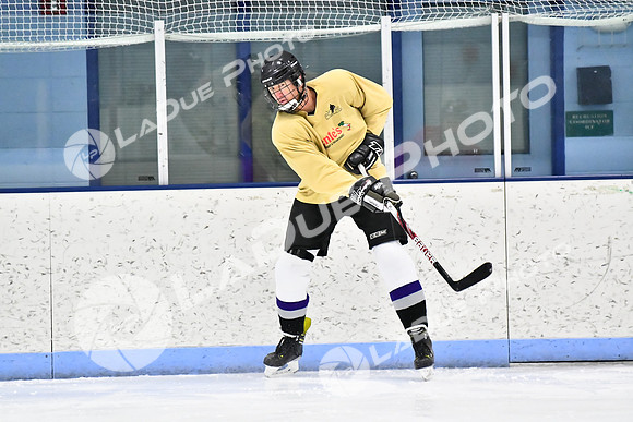 240228_FCHL_D_SticksStones_Valentes057