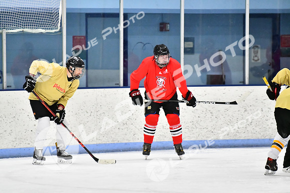 240228_FCHL_D_SticksStones_Valentes060