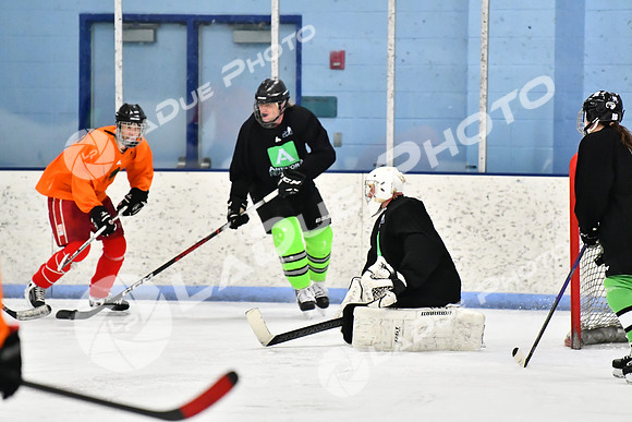 240228_FCHL_D_Antinora_FCHL044