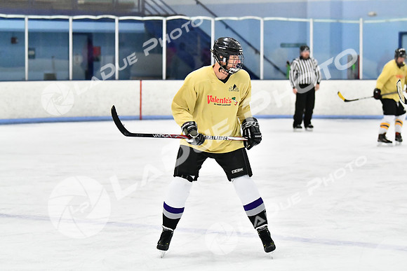 240228_FCHL_D_SticksStones_Valentes063