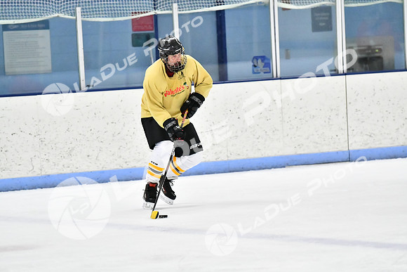 240228_FCHL_D_SticksStones_Valentes064